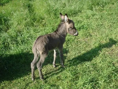 La Macchia 3* Spoleto